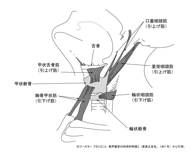 図８ー１　喉頭懸垂機構
